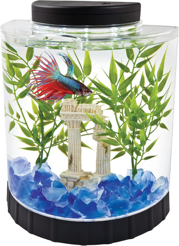 Led half moon - led, fish