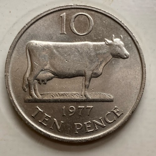 1979 guernsey cow ten - cow,