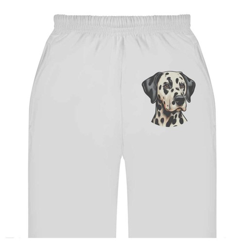 Dalmation dog portrait - dog, portrait'