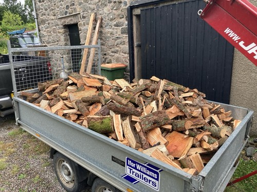 Firewood logs fuel unseasoned - logs,
