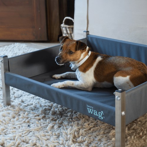 Henry wag elevated dog bed - dog,