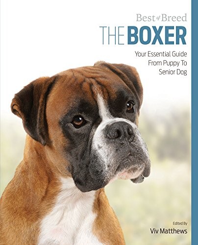 Boxer best breed your - boxer,