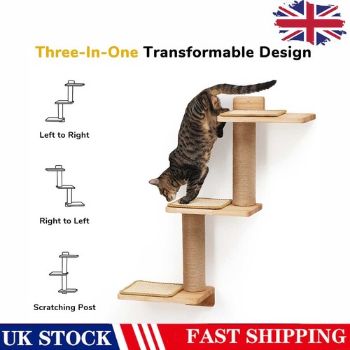 Wall mounted cat climbing - cat,