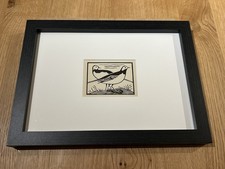 ‘White Wagtail’- Framed Woodcut Bird By Raphael Nelson, 1940s