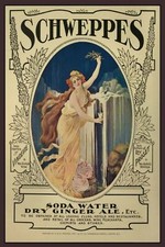 Schweppes soda ginger - soda,