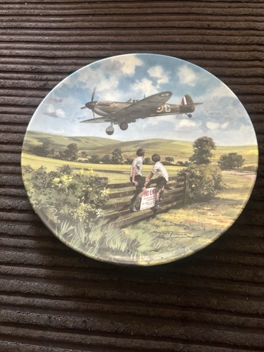 Spitfire coming home - spitfire,