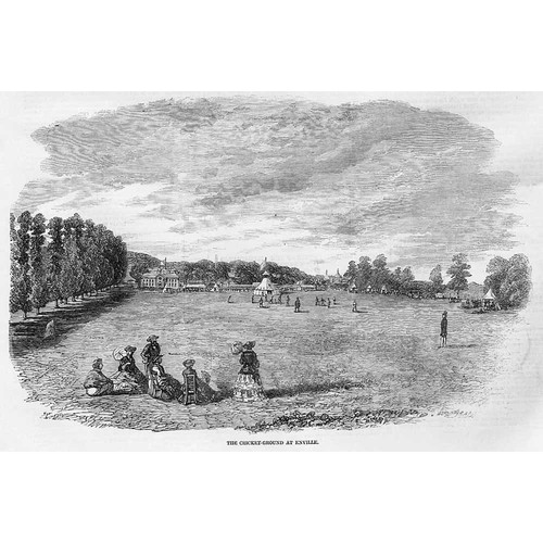 Enville the cricket - enville,