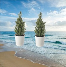 2 Artificial plants 904.949.74