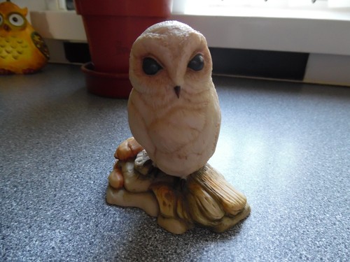 Teviotdale baby barn - teviotdale, owl