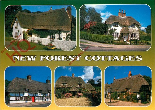 Picture postcard new forest - new,