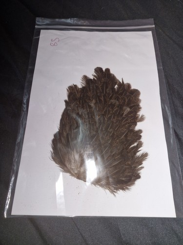 Large saddle hen - large,