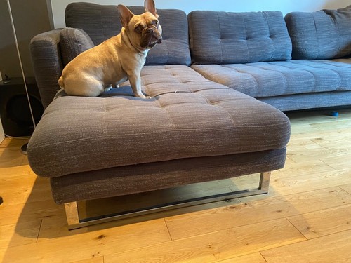 Dwell right sided - , sofa.