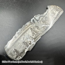 Stromatolite Fossil Section