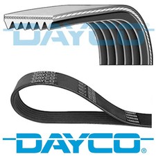 GENUINE DAYCO 6 RIBS 1080MM