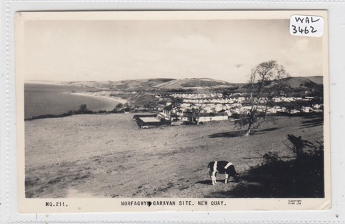 Newquay morfagwyn - newquay,