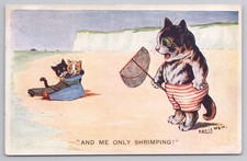 Louis Wain Cat Postcard "And