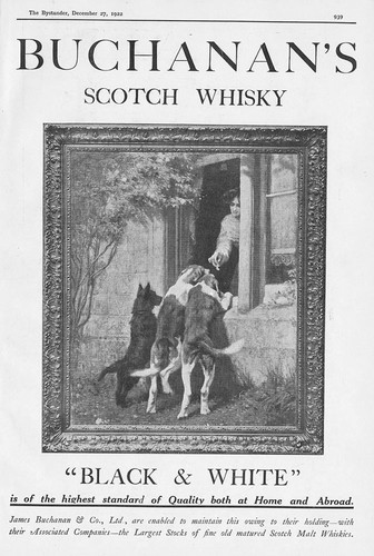 Buchanan scotch whisky dogs - buchanan's,