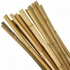 6ft Heavy Duty Bamboo Plant Support Garden Canes Bamboo Sticks Poles Pack Of 10