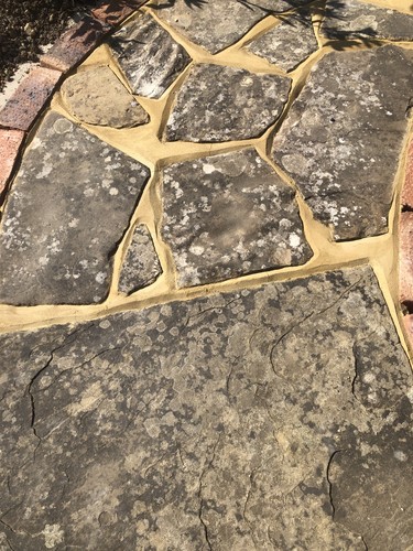 Horsham stone crazy - , paving
