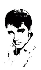 6” ELVIS PRESLEY ICONIC WALL