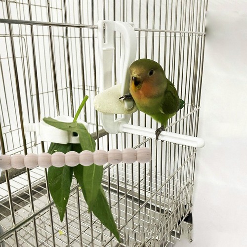 Parrot cage wooden - parrot, stick