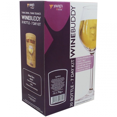 Youngs wine buddy bottle - wine,