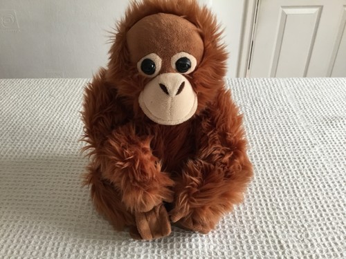 Monkey world chimp ape - chimp,