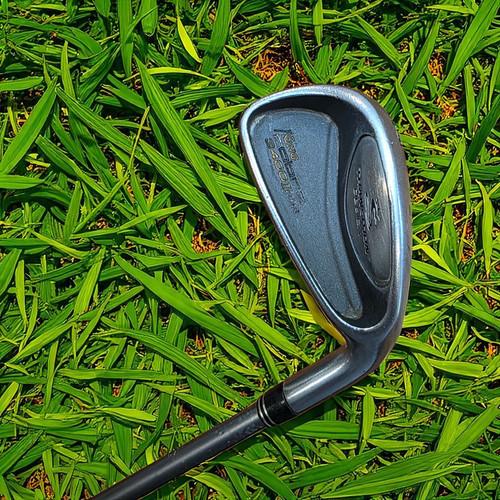 King cobra transition design - king,