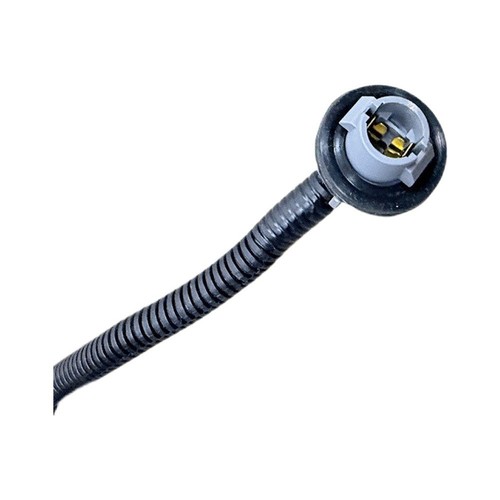 Tail light wiring harness - light,