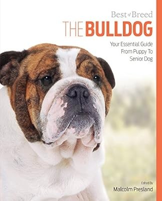 Bulldog best breed your - of,