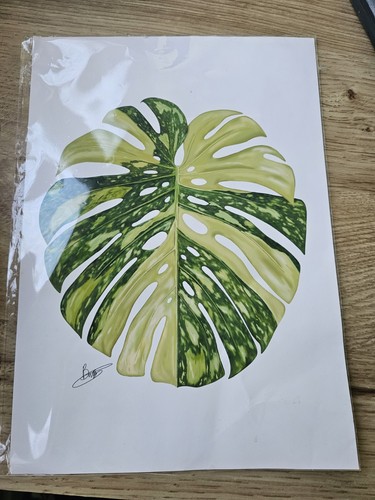 Bethan designs art - bethan, variegated