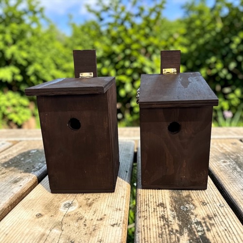 Nest box for blue - nest,