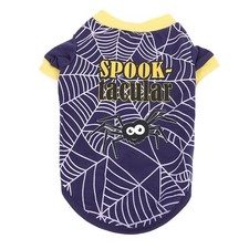 Halloween spider thin