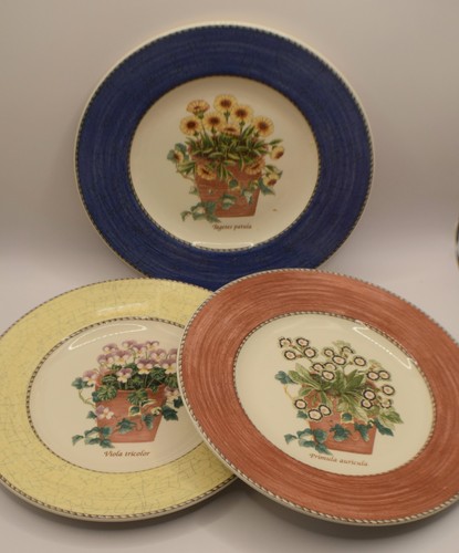 Wedgwood sarah garden - wedgwood, sarah's