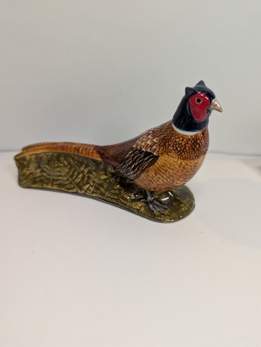 Cock pheasant quail - cock,