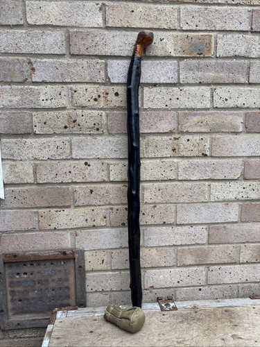 Irish walking stick - walking,