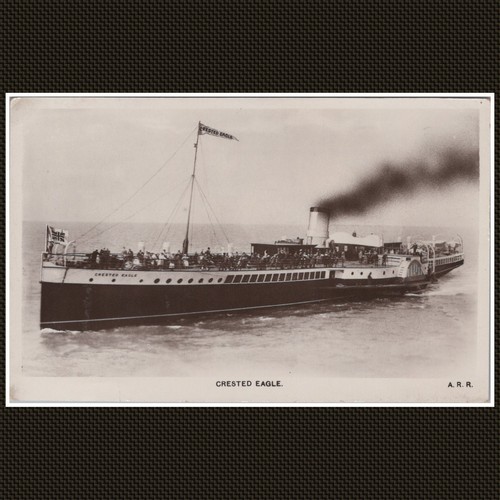 Crested eagle paddle steamer - crested,
