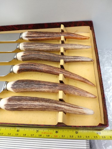 Scottish stag horn steak - stag,