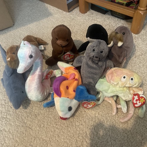 Beanie babies aquatic - aquatic, sea