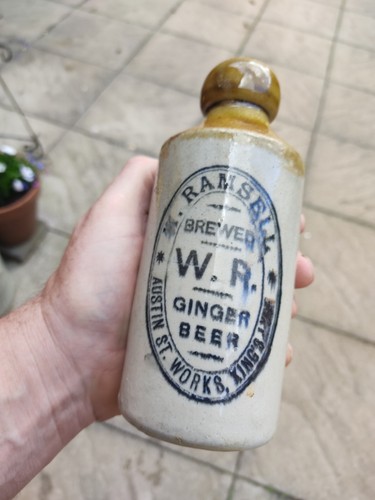 Norfolk kings lynn ginger - ,