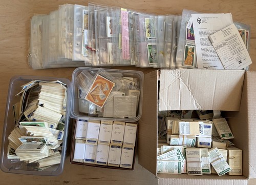 Large quantity brooke - quantity,