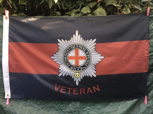 Coldstream guards veteran - guards,