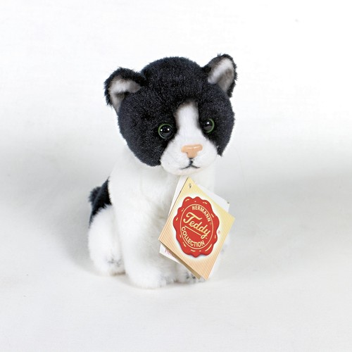 Black white cat - &,