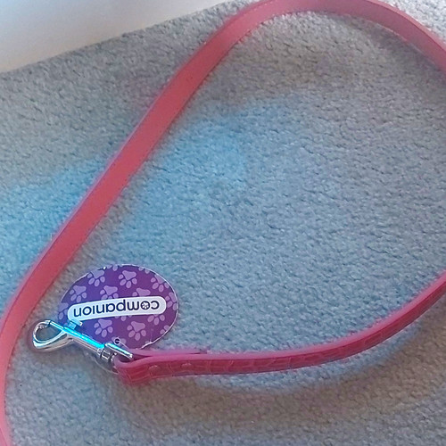 Companion pink faux - pink, leather
