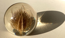 The Original Collection by