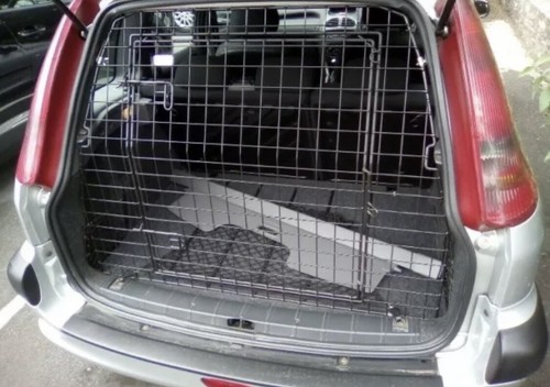 Barjo tailgate dog - tailgate,