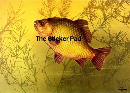Vinyl sticker crucian carp - vinyl,