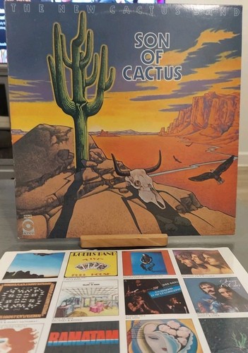 The new cactus - new,
