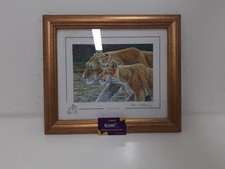 Stephen Gayford "tenderness