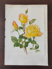 VINTAGE ORIG. COLOUR